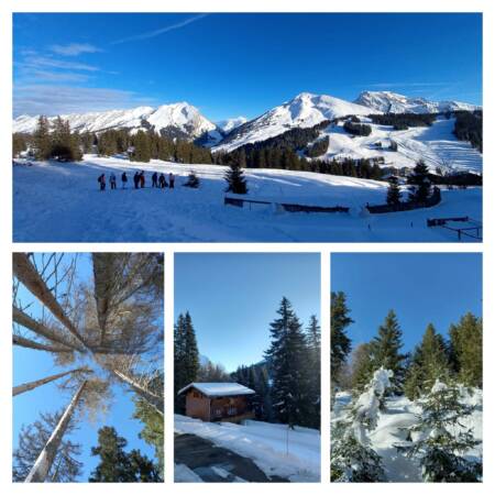 Classe De Neige Manigod Pour Le Ce B Et Les Cm Cm Aux Lazaristes